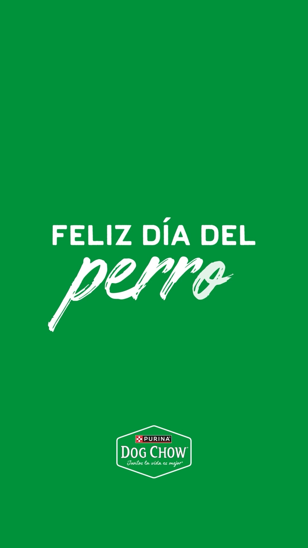 Purina Dog Chow - Hoy es el día internacional del perro.... | Facebook