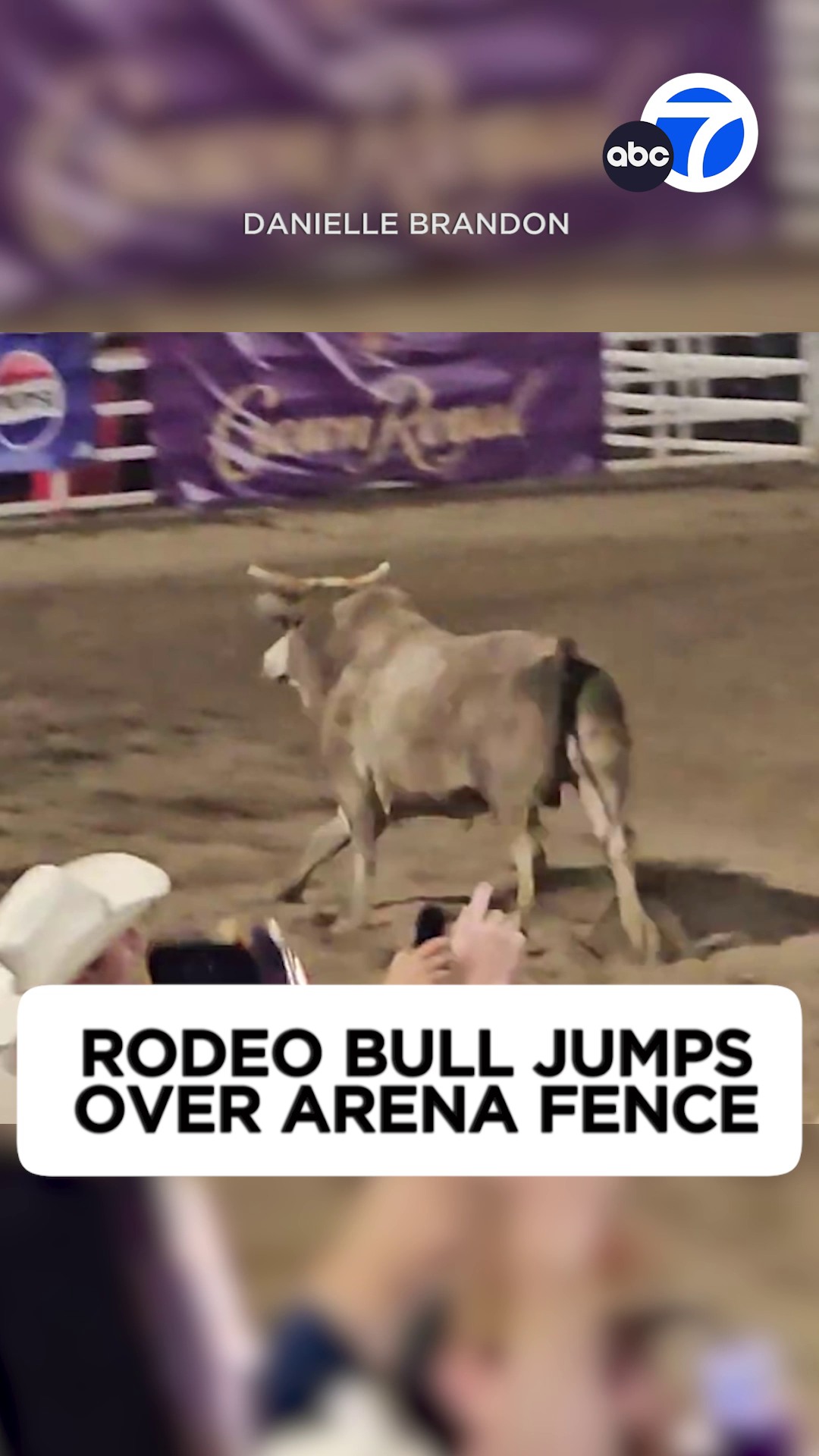 A rodeo in Oregon descended into chaos after a bull escaped the arena ...