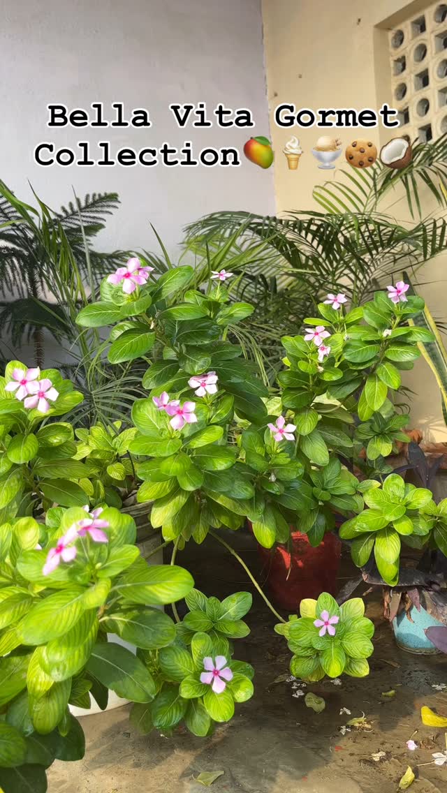 Beauty Tales by Stuti Rastogi | Shahjahanpur