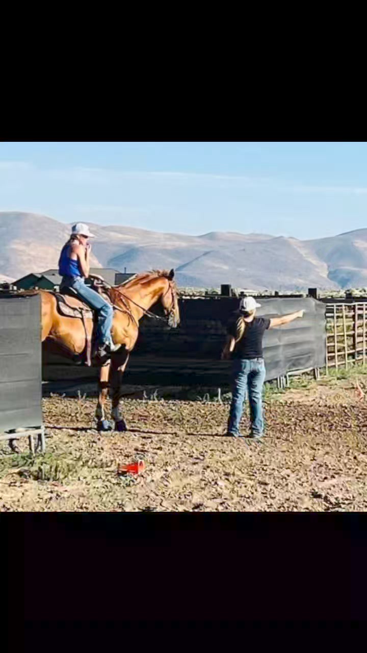 3R Ranch on Reels | Facebook