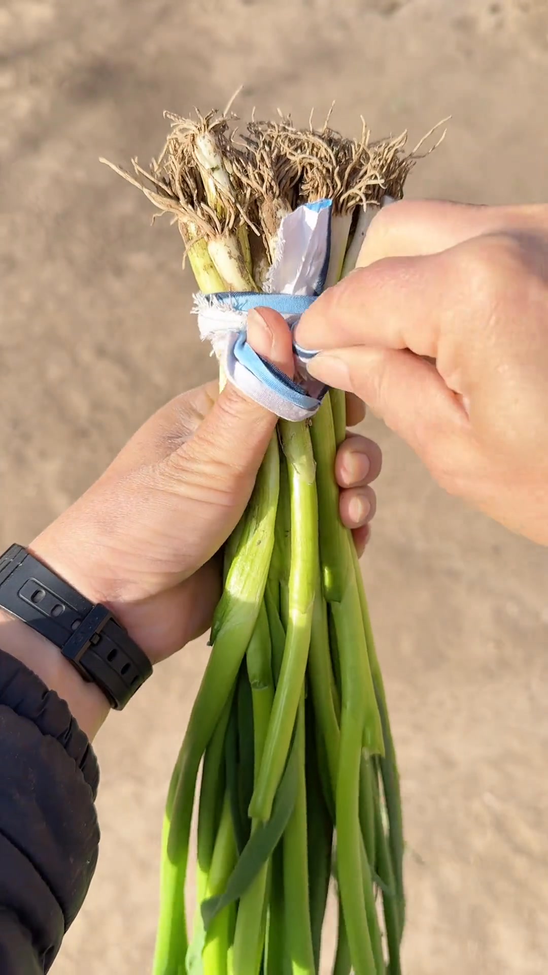 捆菜結方便快捷的系法太簡單了，在生活當中經常會用到#捆菜 #方便又實用 ##分享生活小技巧 @抖音創作小助手 | 实用绳结 | Facebook