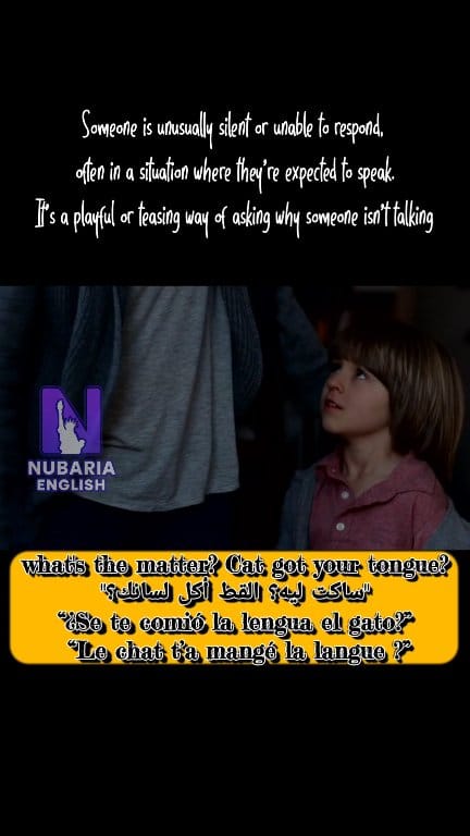 The phrase 
