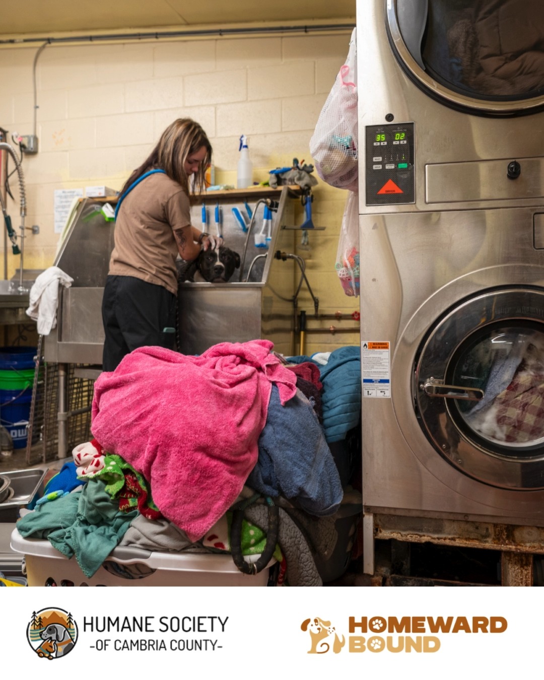 Here’s what care looks like behind the scenes: cleaning, feeding ...
