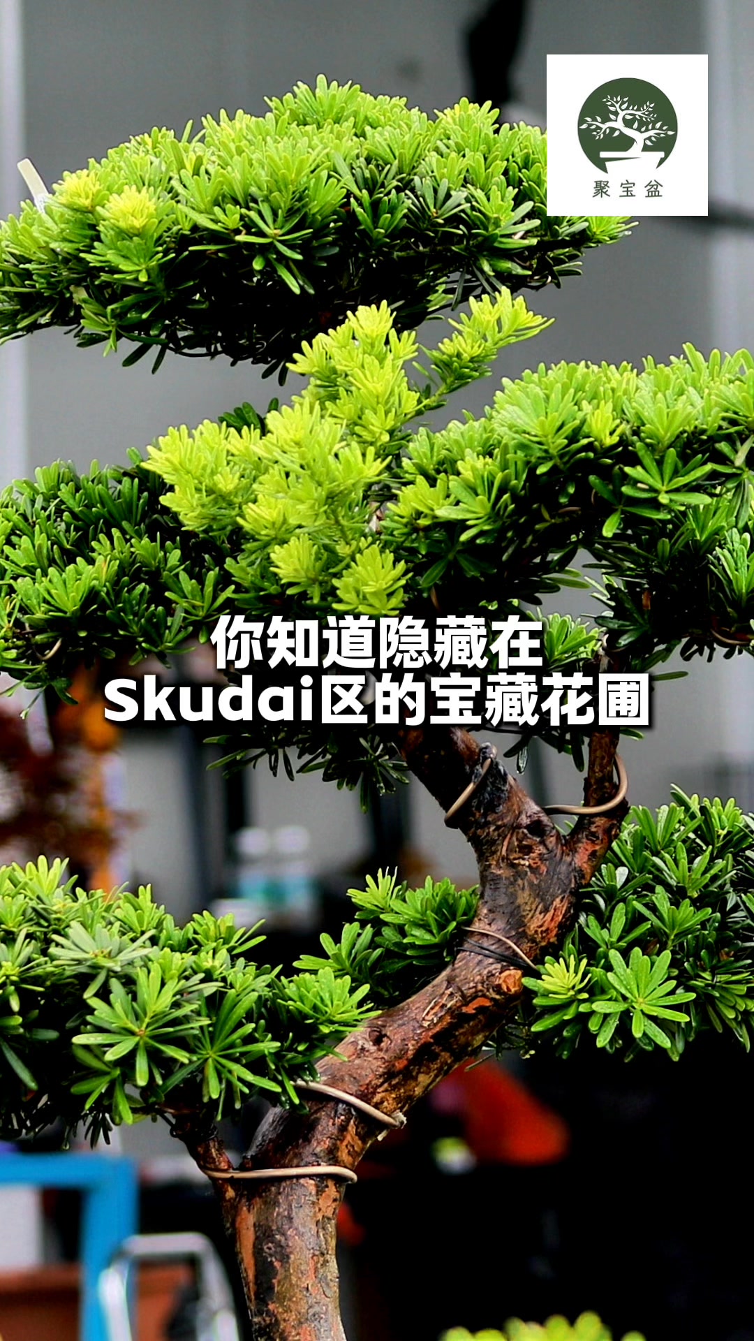聚宝盆(@jubaopenjb) • Facebook