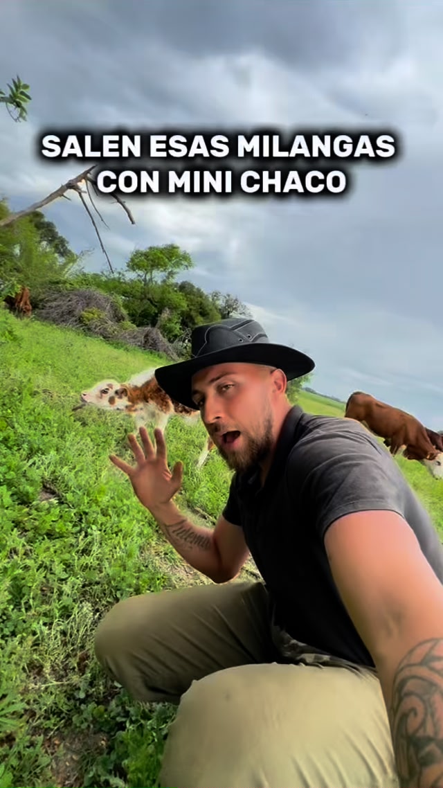 Mini Chaco será un novillo y te explico porque | Lucas Uhrig | Facebook