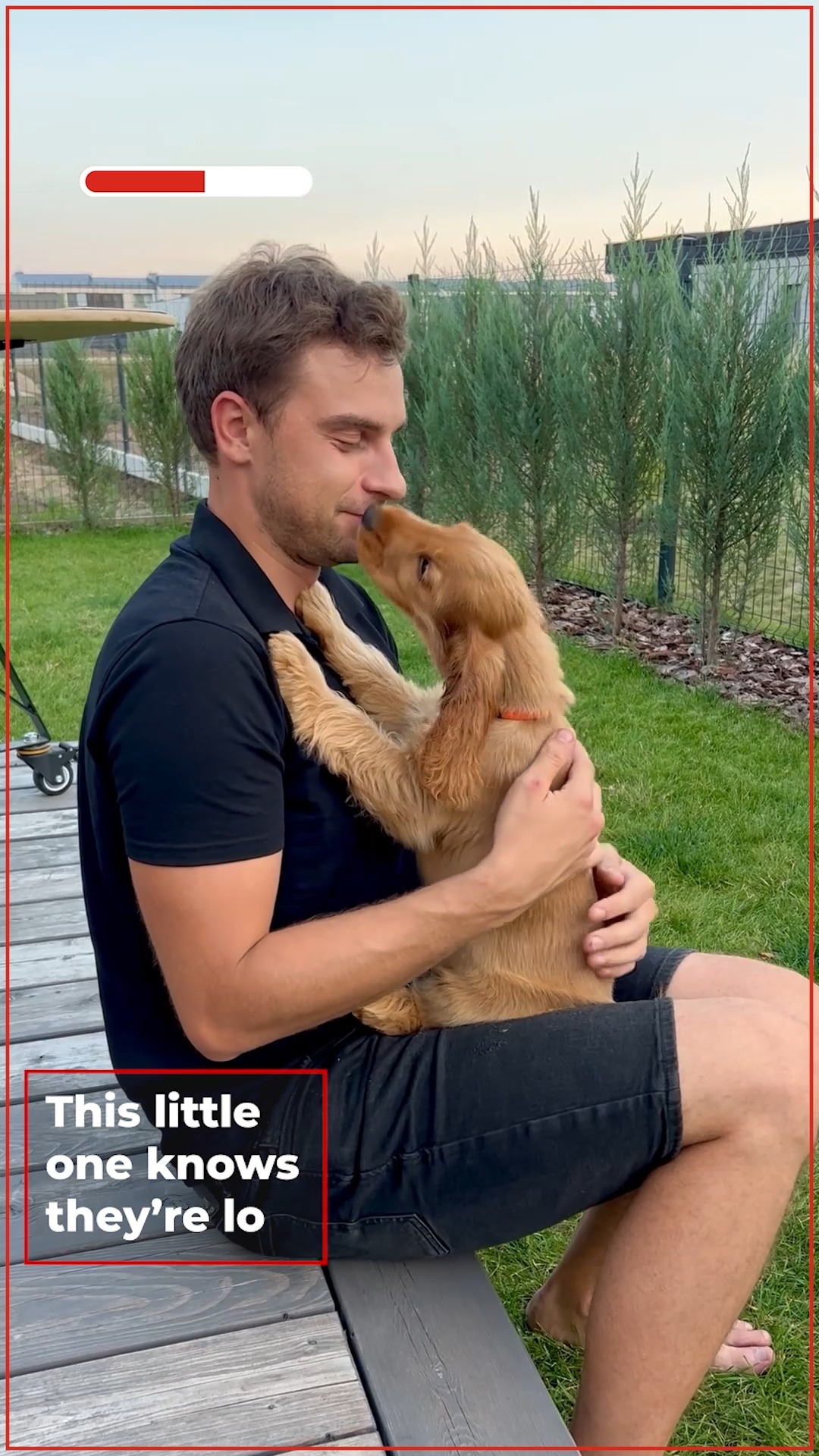 Covered In Kisses And Loving It 🐶 | iHeartDogs | Facebook