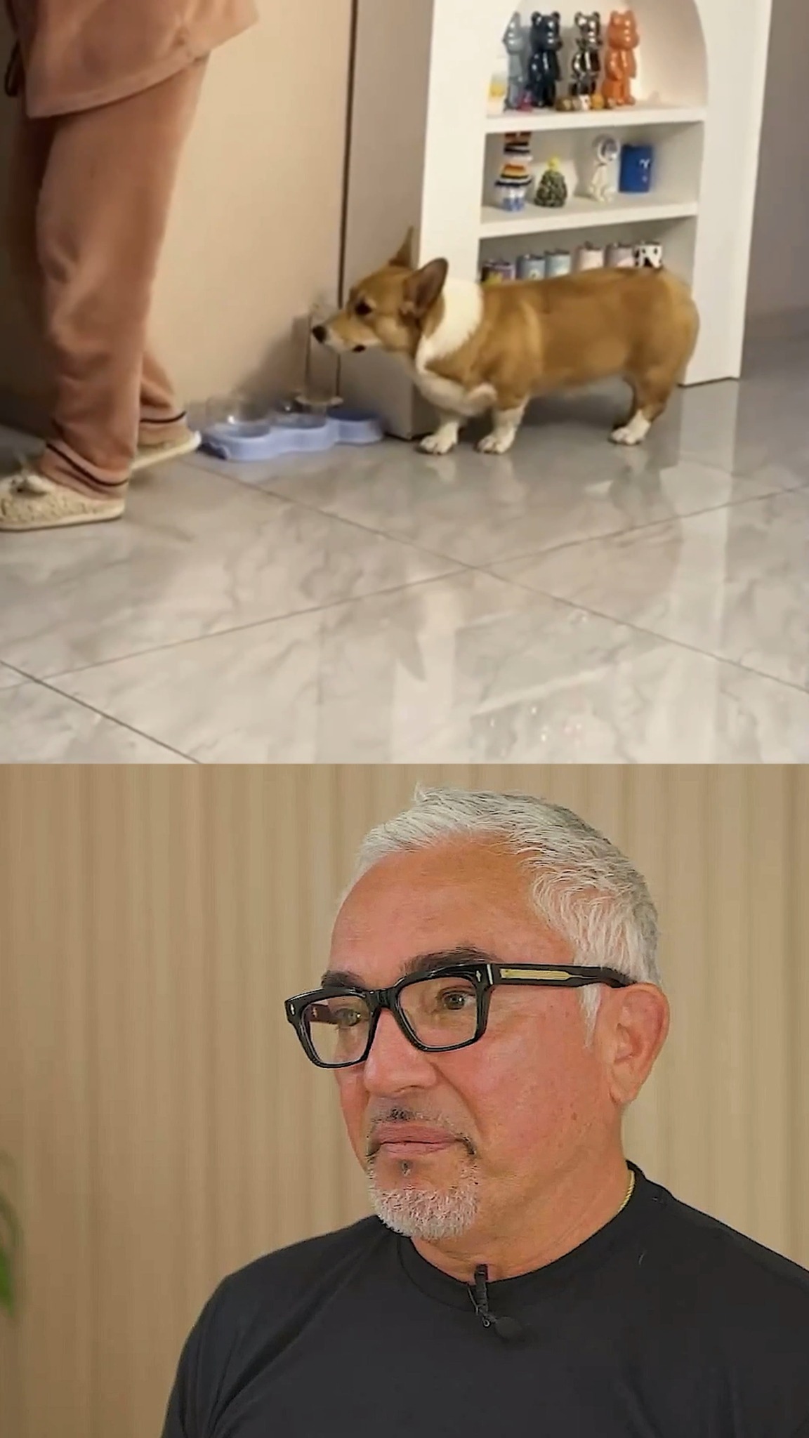 Cesar Reacts! - When Dogs Act Like Their Owners. In this video, I react ...