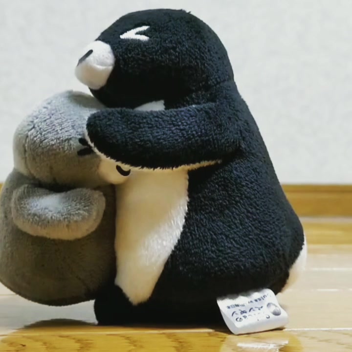 今日のくまごろう🐻 奥さまはSuicaペンギン好き。 こんなものをGETしま