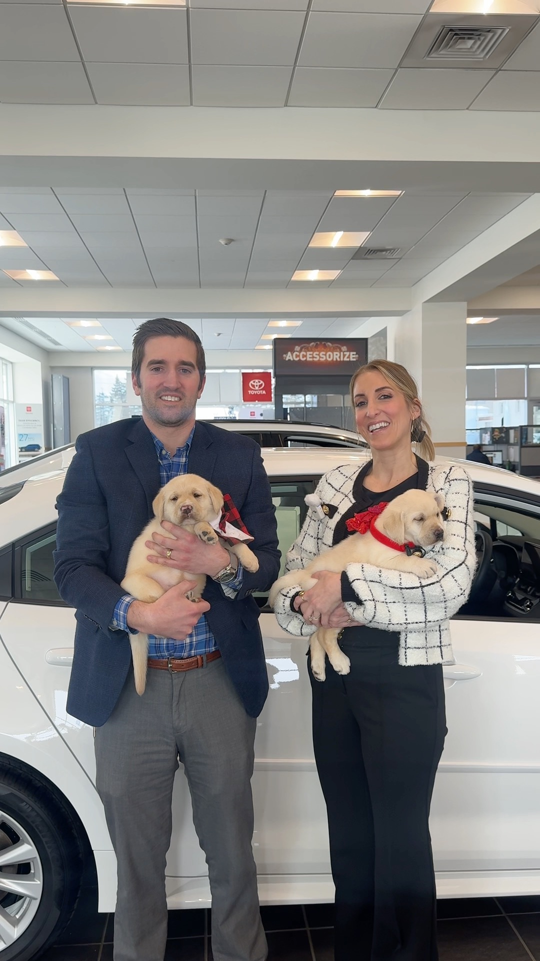 Puppy love is in the air at Steet Toyota! 🐶 ️ Next Saturday 2/21, make ...
