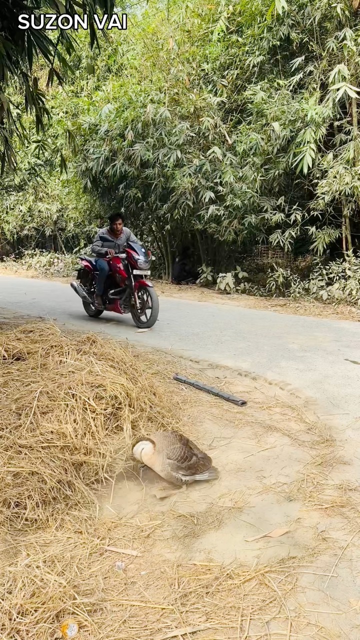 After stopping the bike #funn #usa | সুজন ভাই | Facebook