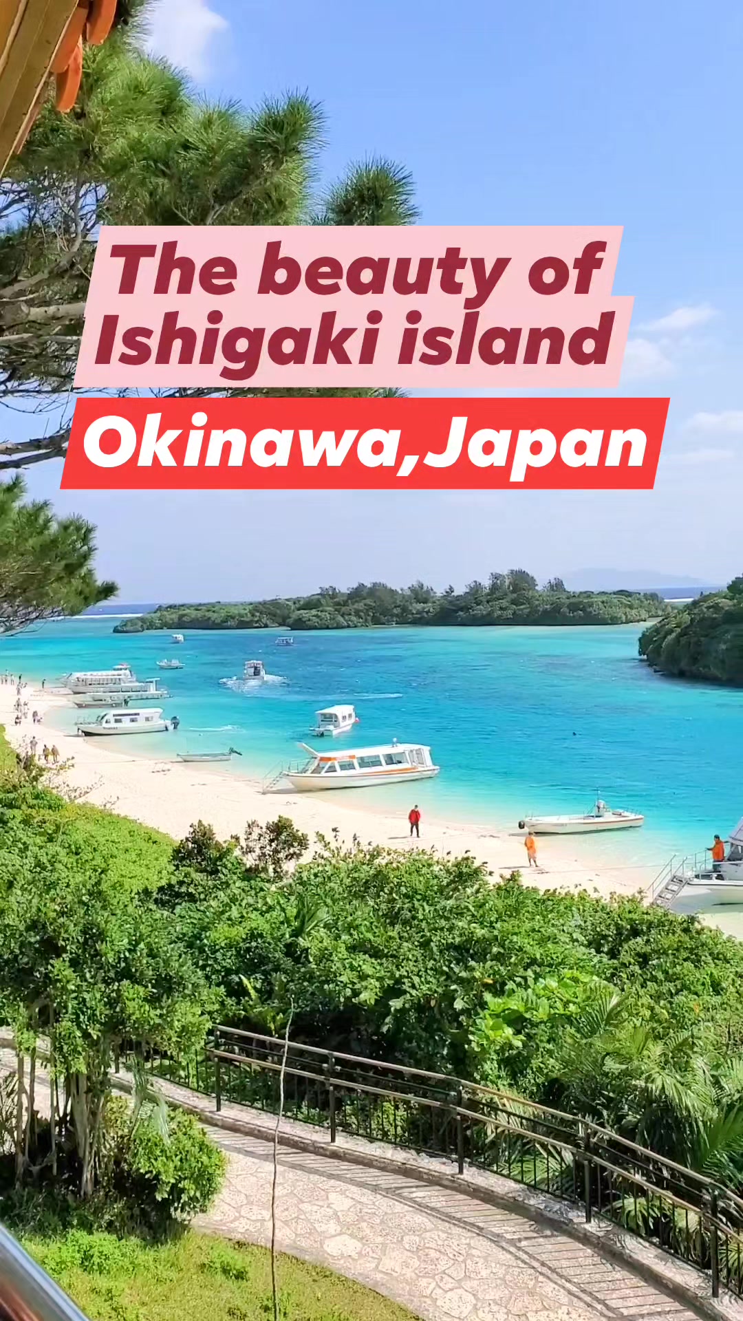ishigaki glutathione japan Live video from Ishigaki, as #Bavi nears the small island Size:3 Bottles افضل علاج للشعر bpc 157 peptide injections Contains FREE FORM Glutahione