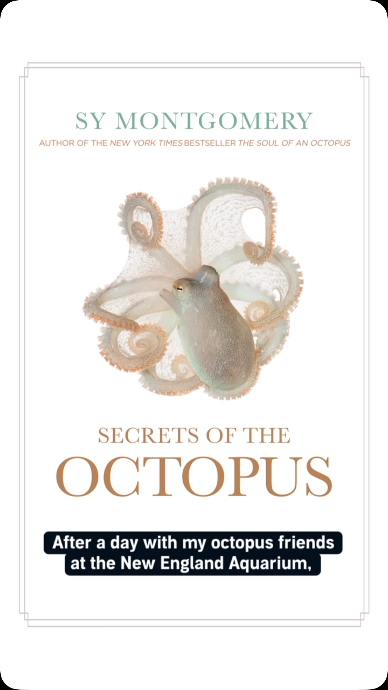 Baby octopuses are born with a temporary superpower you’ve probably ...