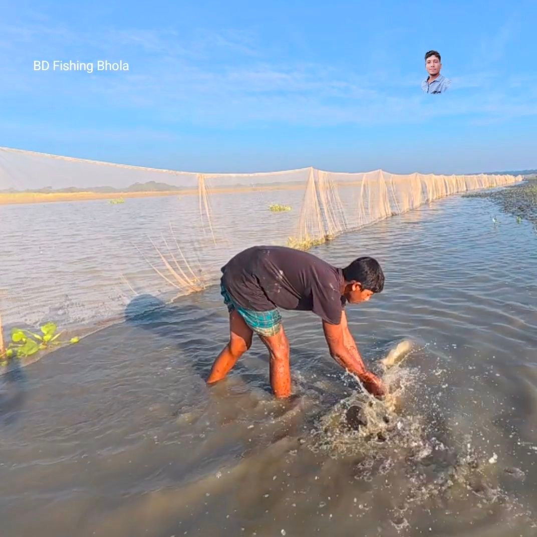 নদীর শীতকালীন বড় বড় সব মাছ ধরা #fishing | BD Fishing Bhola | Facebook