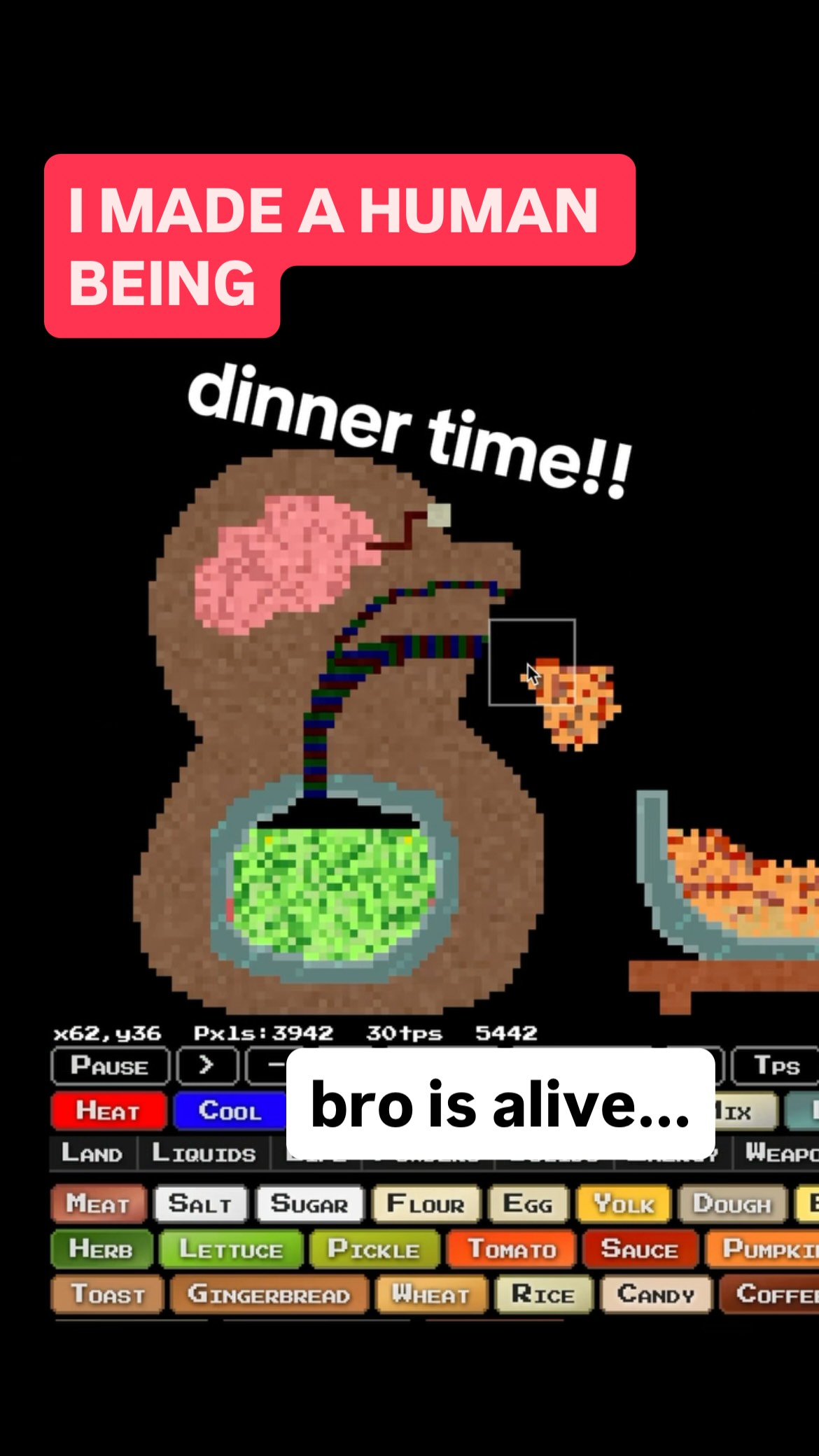 do you like him #sandboxels #games #science #gamedev | R74n | Facebook