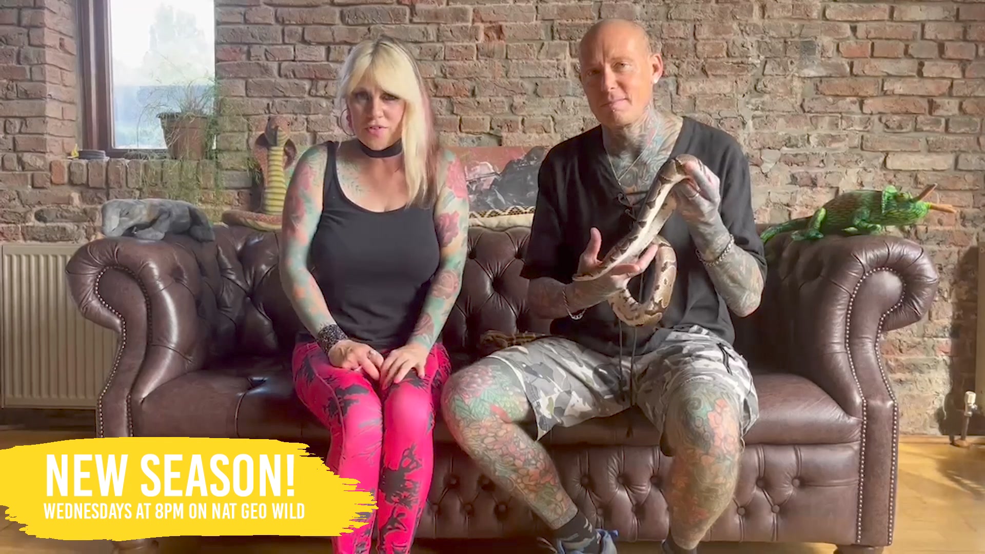 Hey hey, UK! Get ready for a wild ride as the new season of Snakes in ...