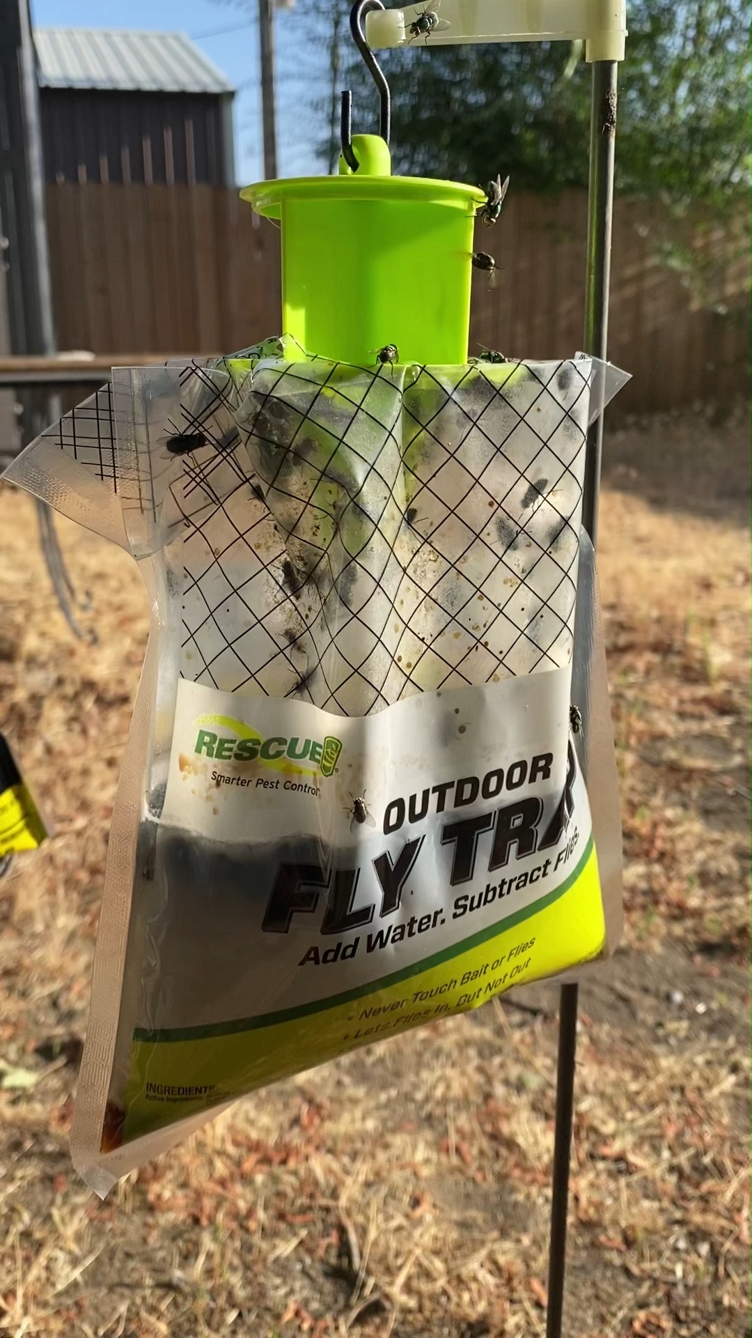 The RESCUE! Disposable Fly Trap is easy to use and starts catching ...