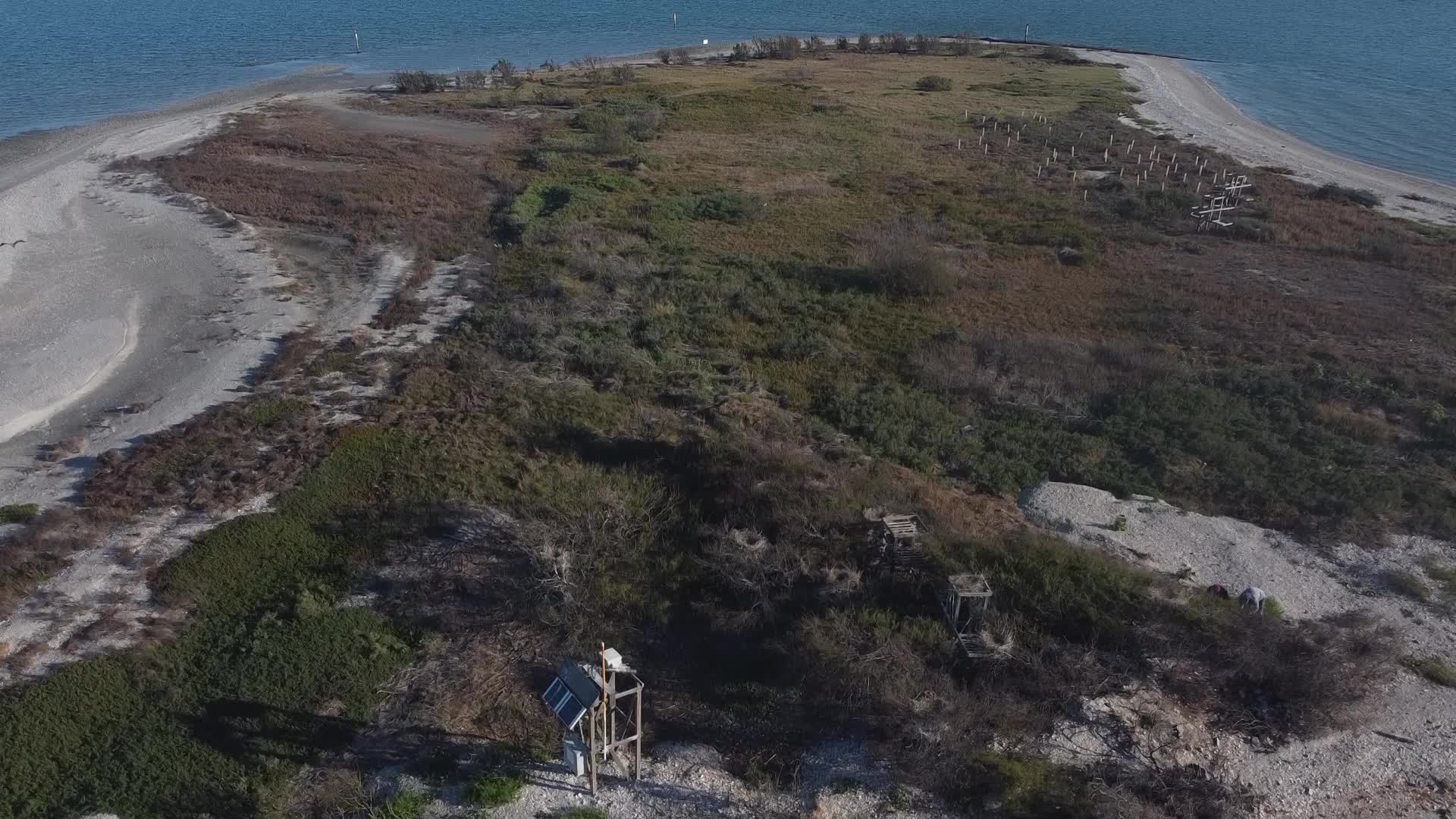 Check out this cool drone footage of CBBEP's Causeway Rookery Island ...