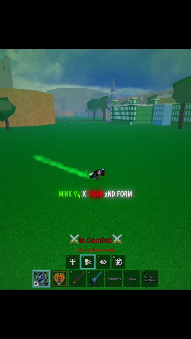 Mink v4 Tiger 2nd Form☠️insane Run. Blox Fruit Roblox
