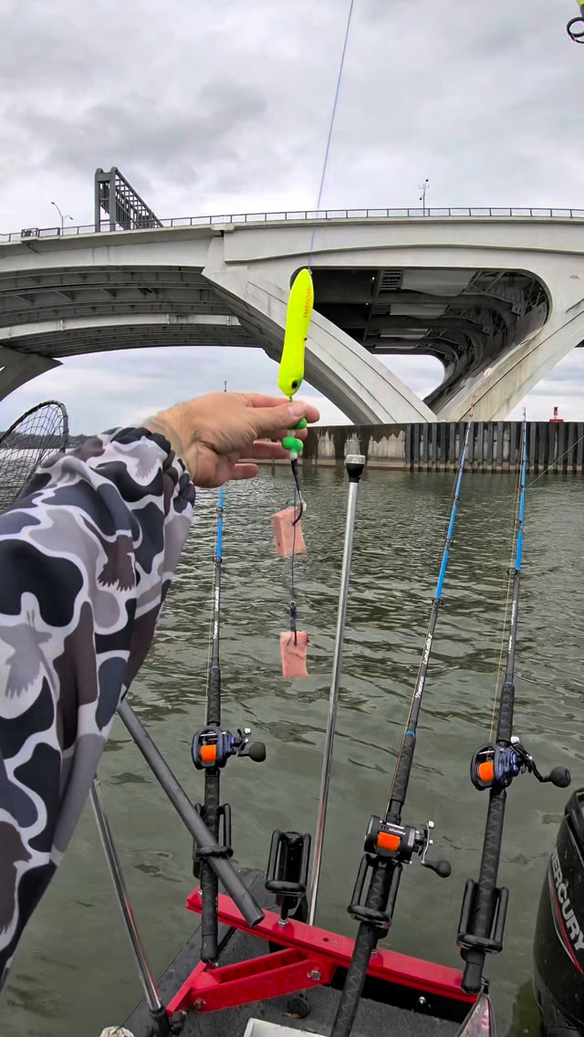 Using spam for bait to catch fish 🎣 | Haz Life Fishing | Facebook