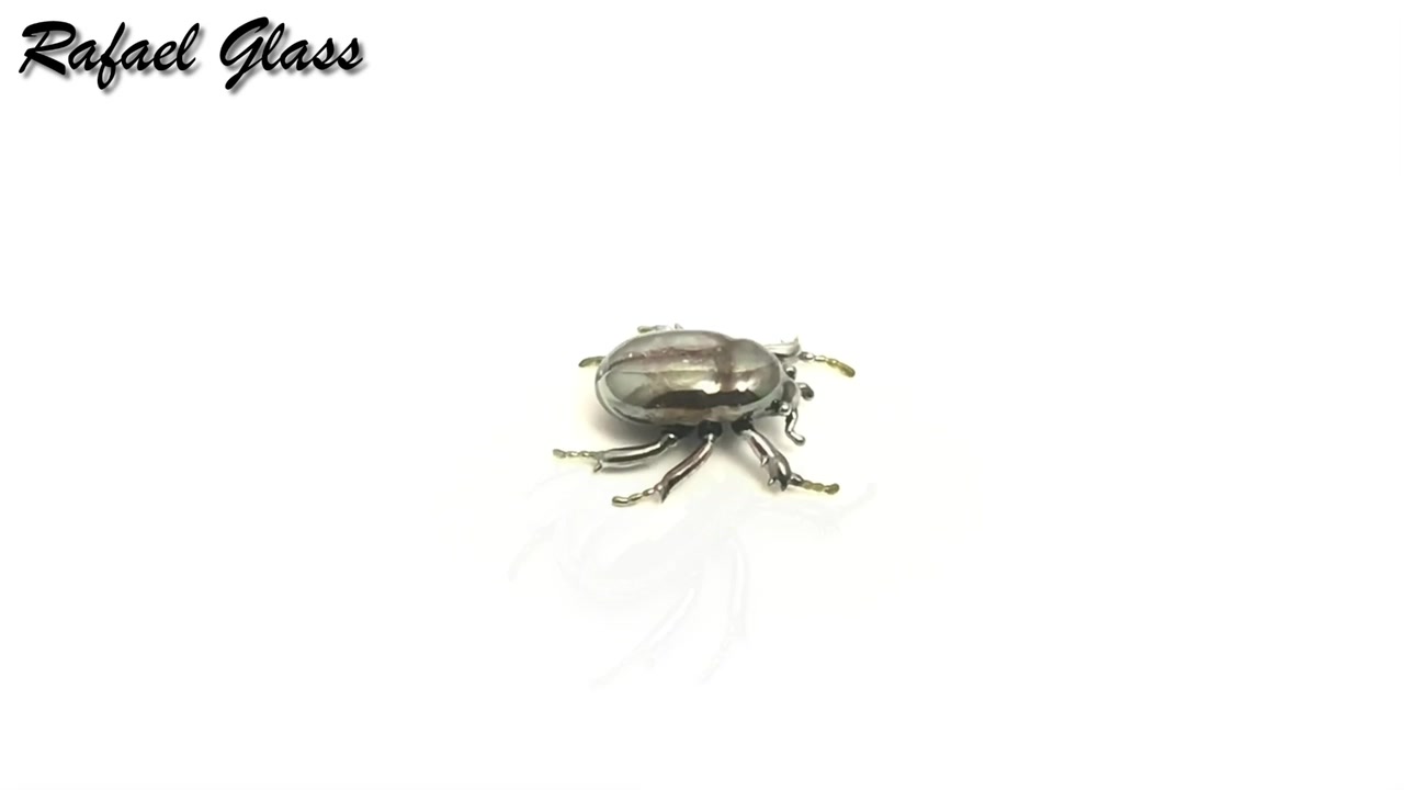 Chrysina spectabilis jewel scarab found in Honduras