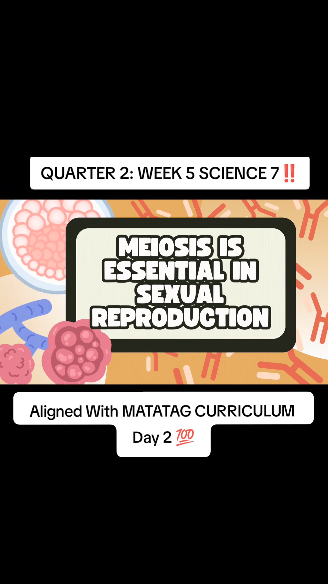 DepEd Matatag Grade 8 Complete Files | SCIENCE 8 QUARTER 3 WEEK 3💯 ...