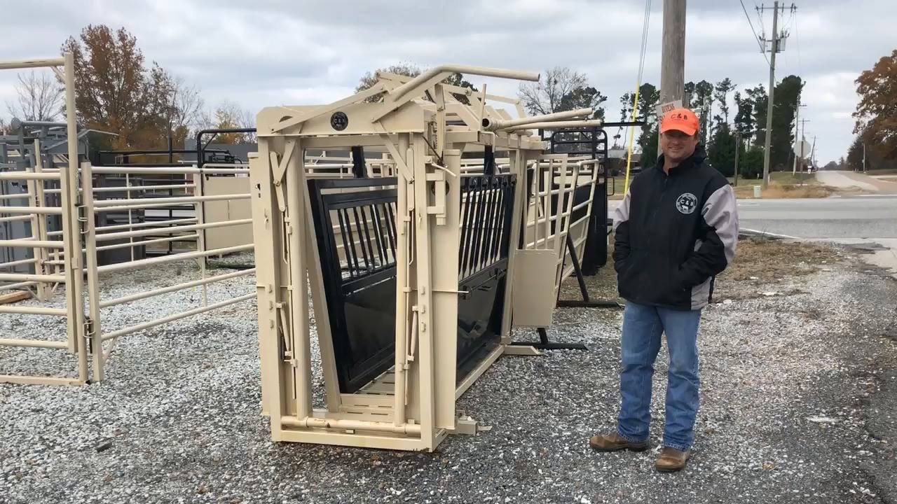 Here's our complete cattle working system with 180 degree sheeted ...