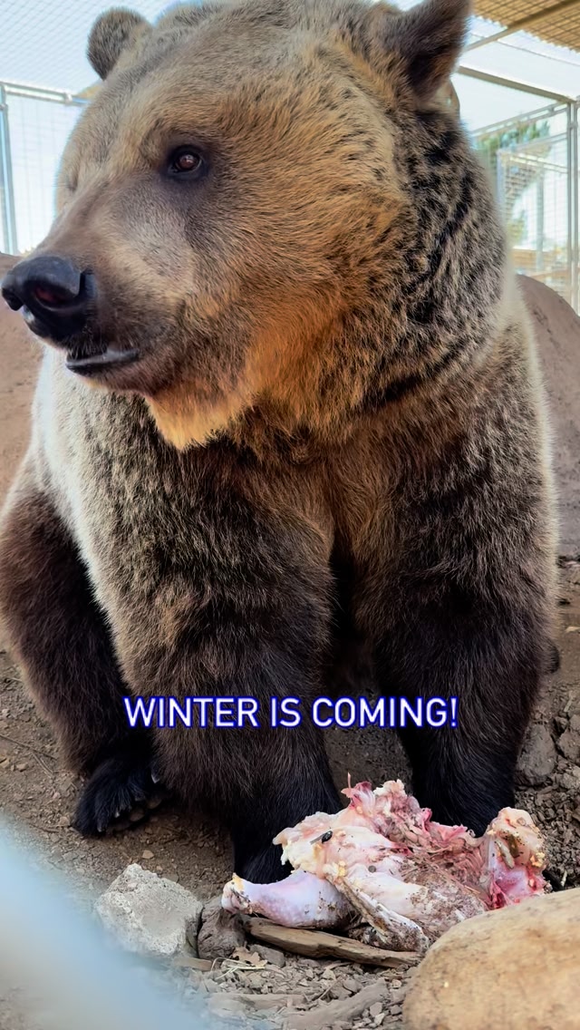 Yarah is getting that perfect plump winter figure going on! ️ ...