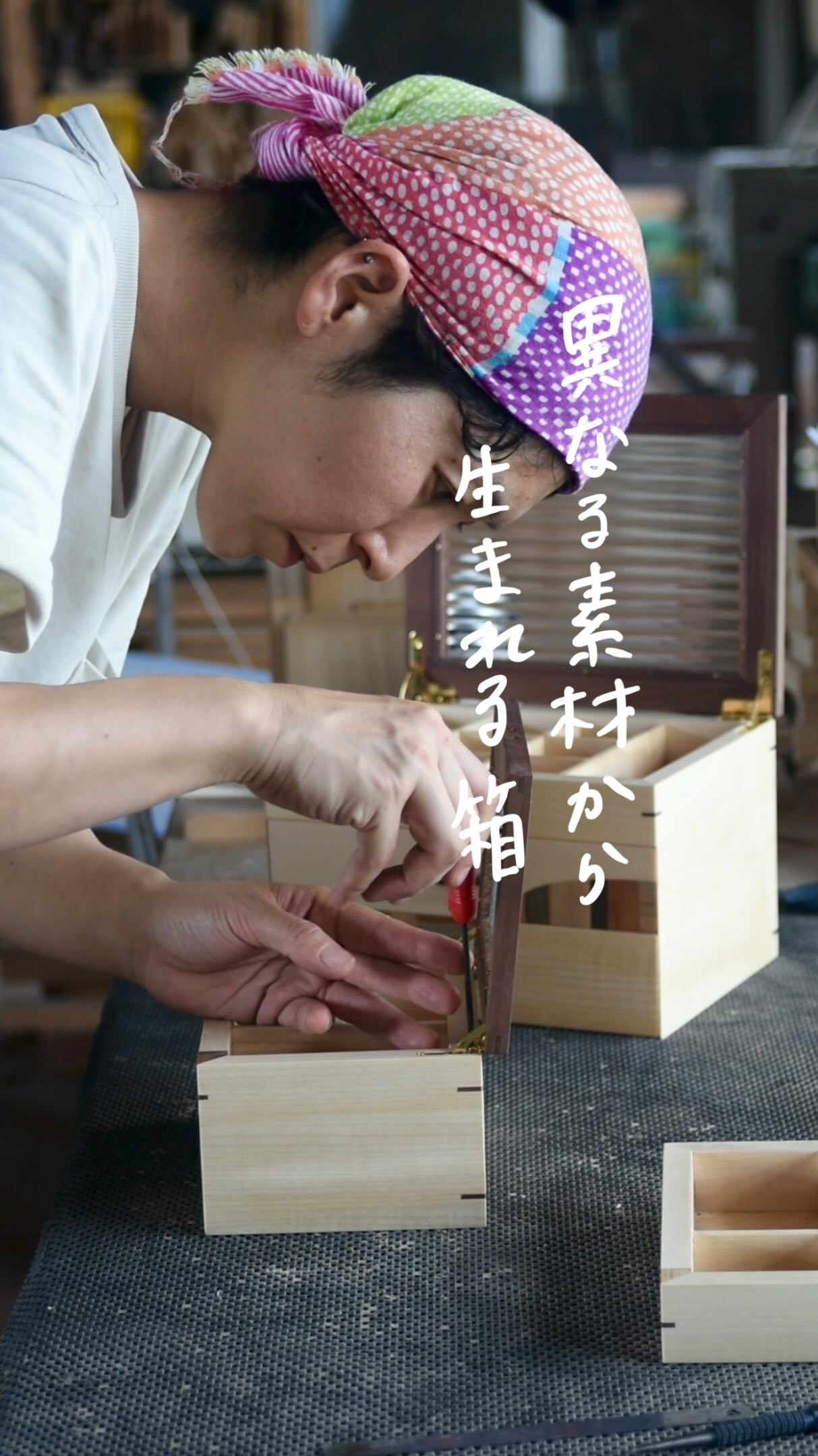 フジタマリ/ fujitamari