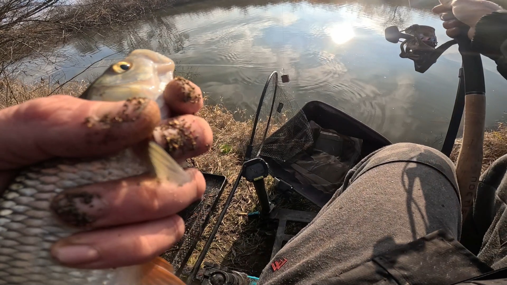 Hubert Domański z MFT wybrał się na zawody na Kanale Połaniec 🎣 W ...