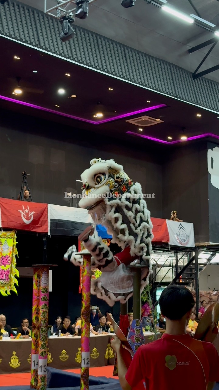 2025年第14届槟城国际高桩舞狮邀请-决赛 14th Penang International High Pole Lion Dance ...