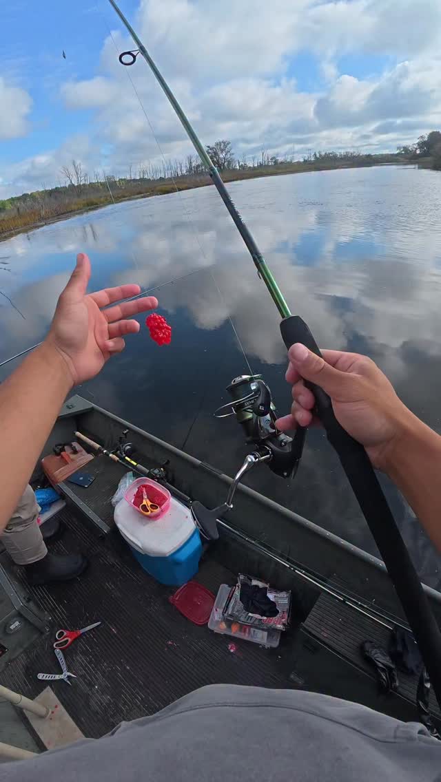 This fish tried to spool me #fishing #fishingvideos | Garcia Brothers ...
