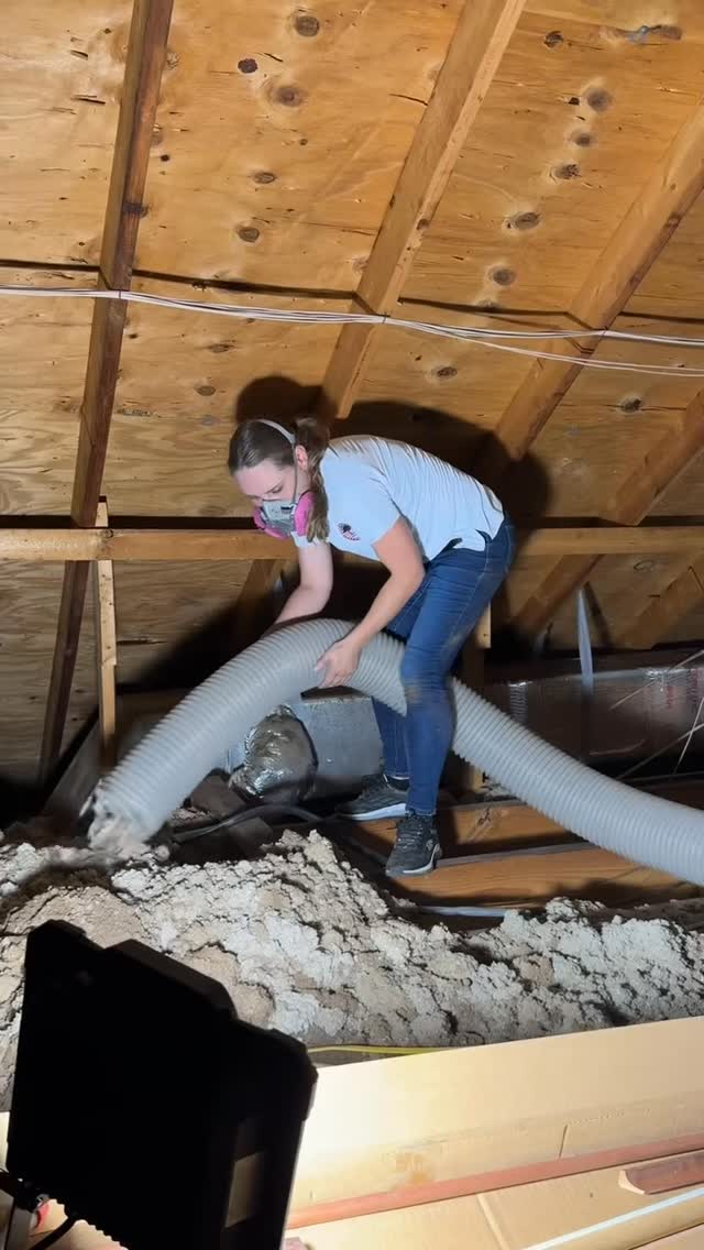 From estimates to extraction—this is how we do it. Old cellulose out ...