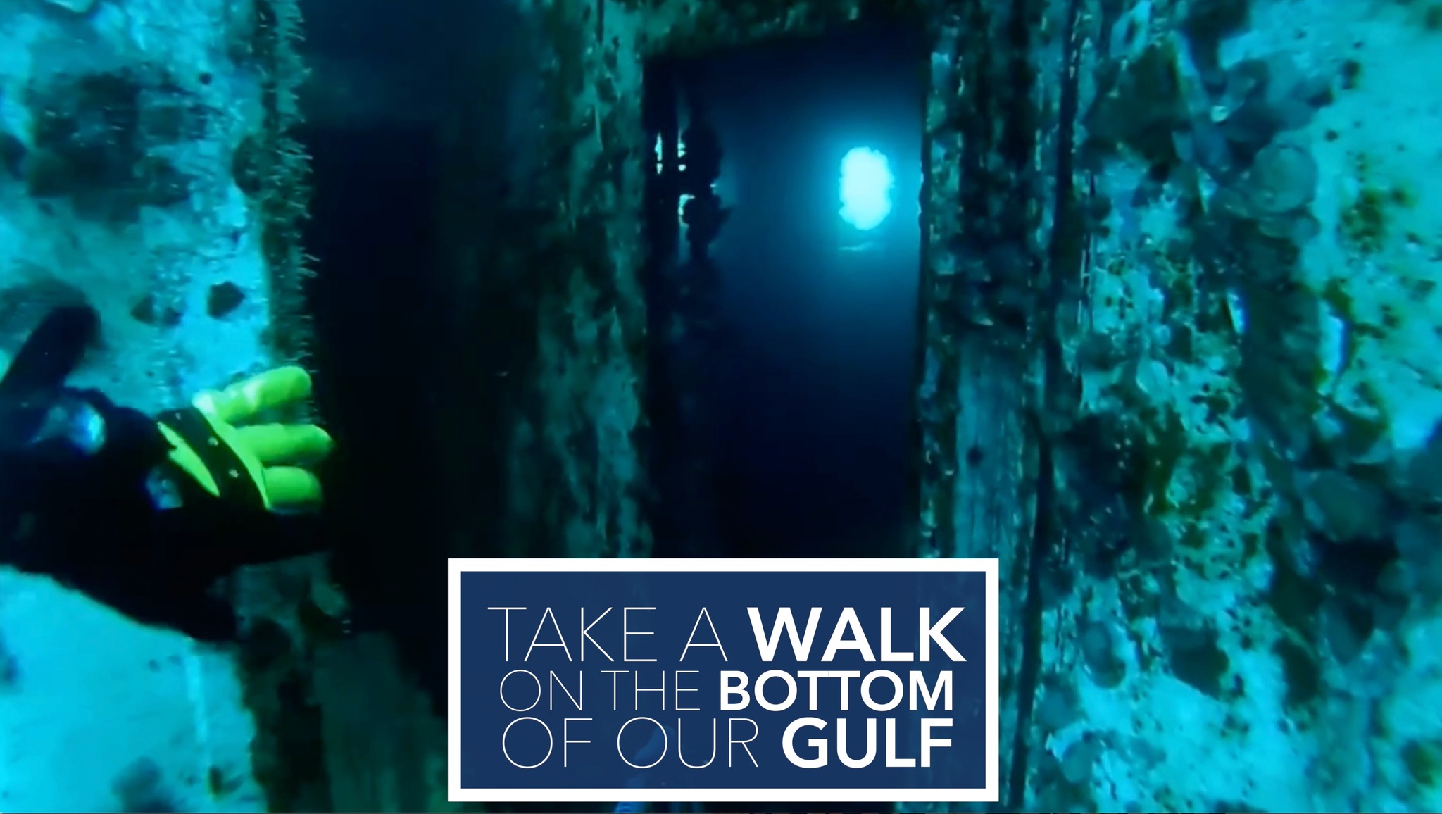This SWFL activity is close by, amazing, and we're almost certain you ...