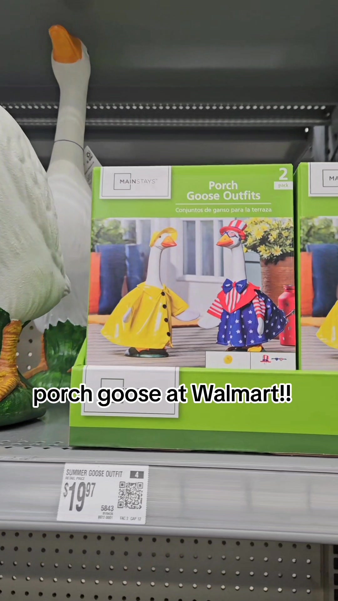 Walmart decided to get in on the porch goose game this year! Its pretty ...
