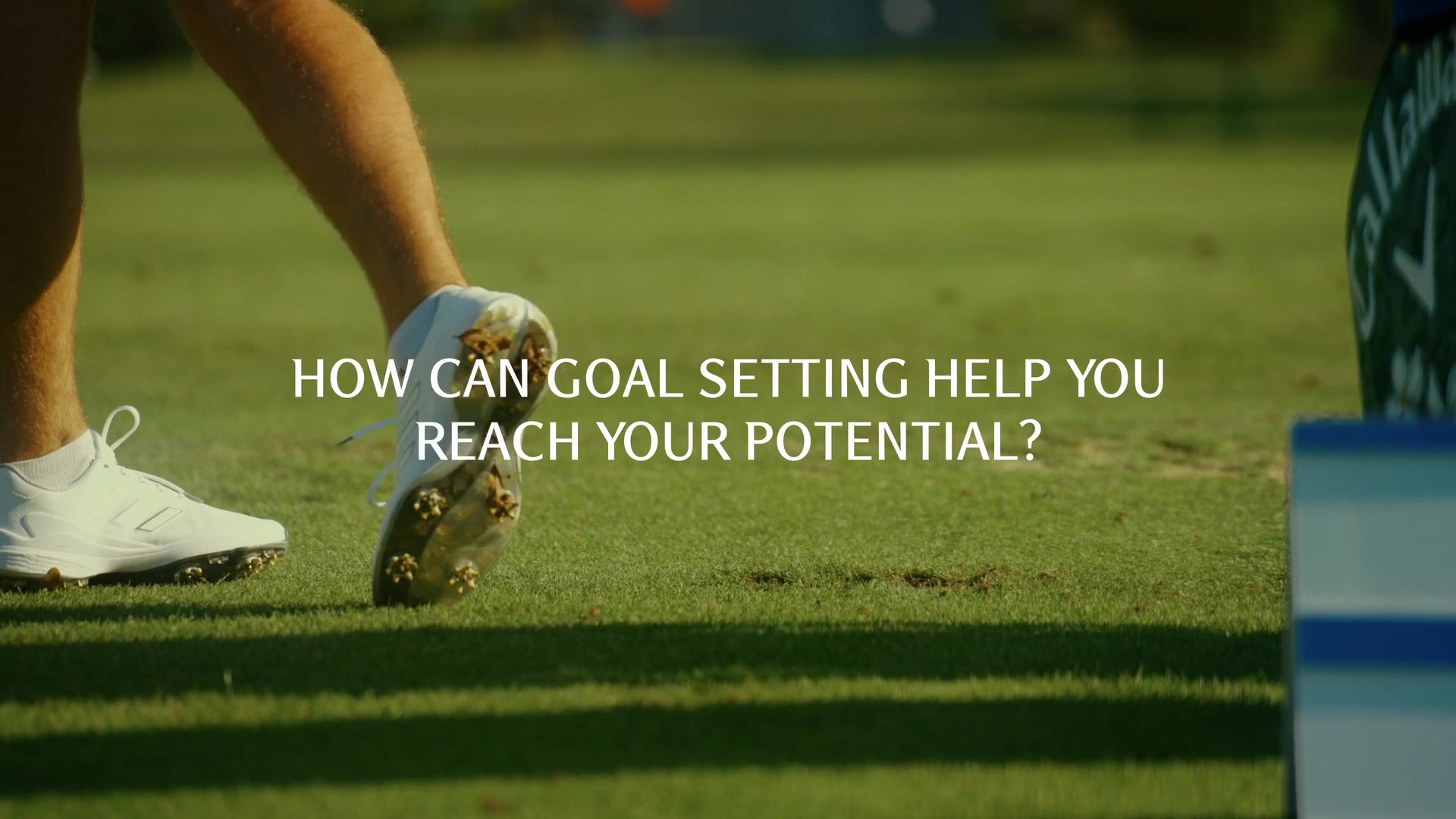 Fostering community to help individuals thrive is a core value at RBC ...