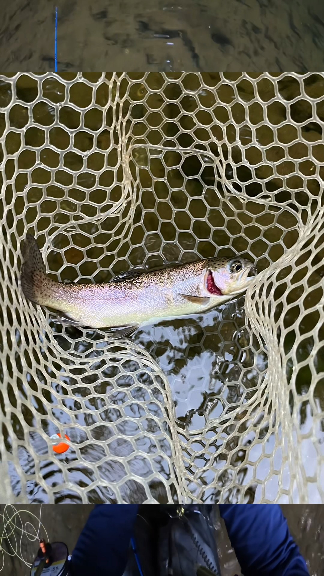 5wt fly rod max fish size The Flinger Pro  9' Fast Action Fly generation materials can elevate your time on the water A 5wt flyrod is great