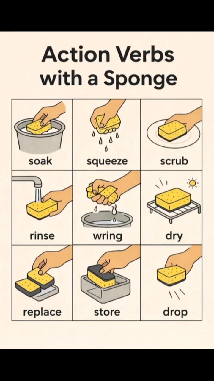 Englishwala - 🧽 Action Verbs with a Sponge – Learn by... | Facebook