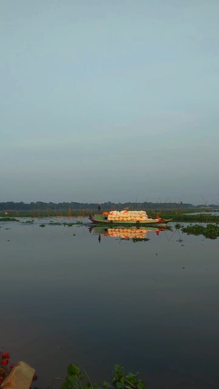 আল্লাহ কে বলবেন 🌸 . . . . . . . . . . . #rs_robiul_333 | R S Robiul ...