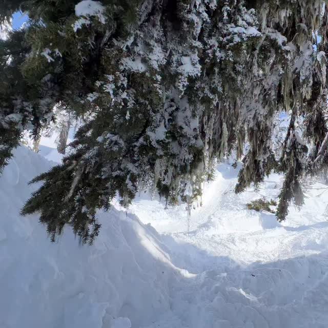 #TBT | 🔊 This jump didn’t really get the justice it deserved. It was a ...