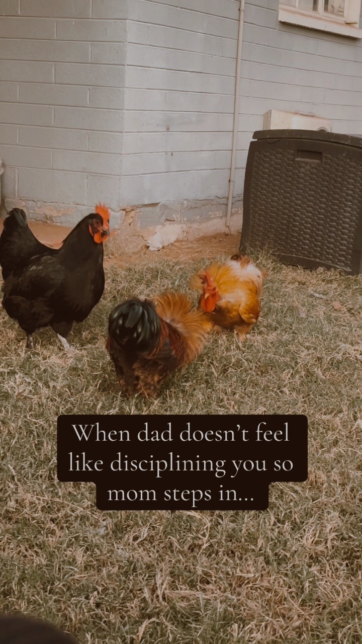 What is funny is that, Pip is their actual offspring 😆 #fyp # ...
