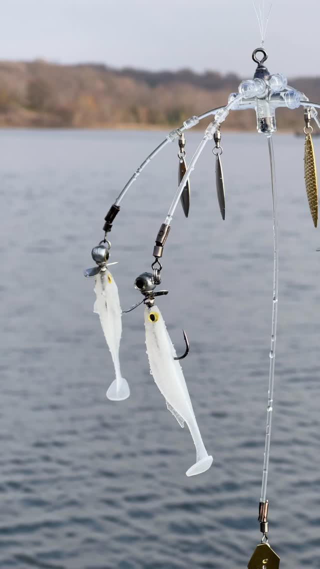 bass assassin lures ceo 5" Die Dapper  Lures, Inc This amazing piece of plastic can be fished in many different ways but the outcome is always fish on John Morris