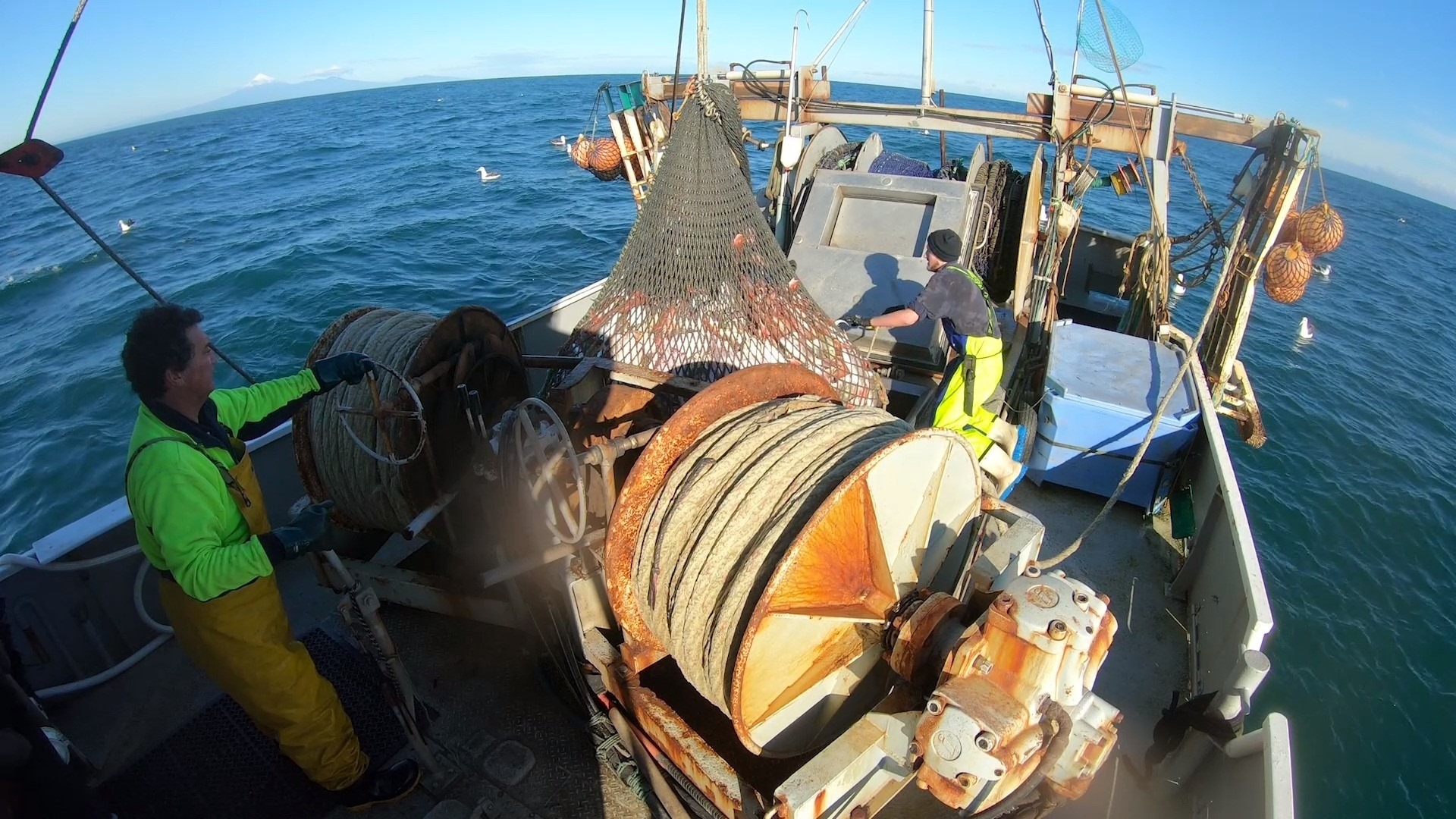 Ocean Bounty