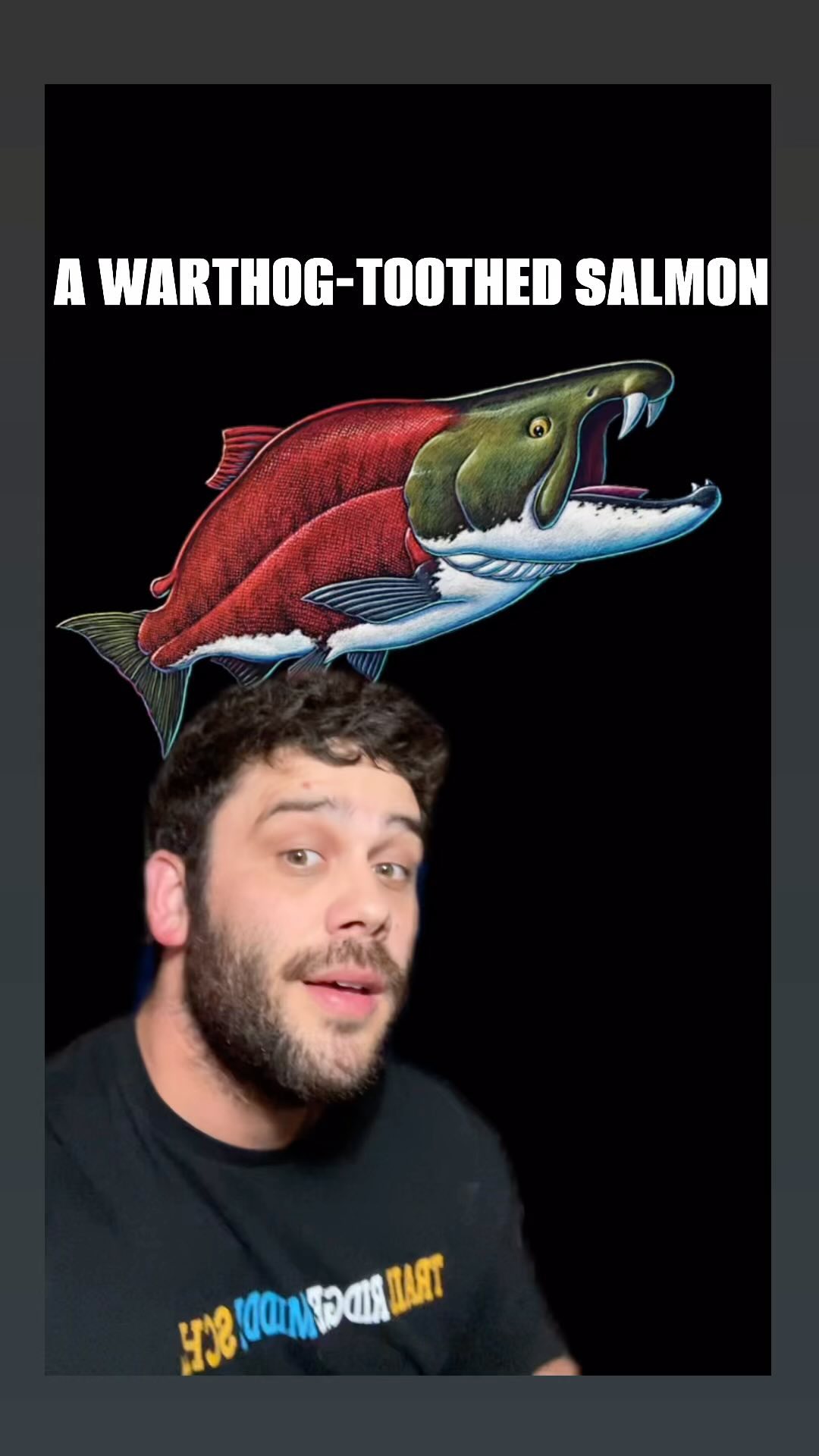 A not-so-sabertoothed salmon #science #evolution #ancient #animals # ...