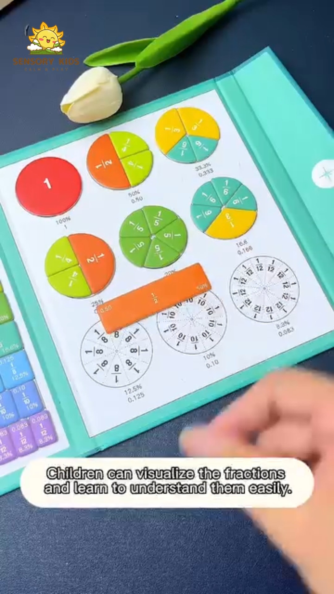 Learning Resources – Puzzle Magnétique Des Fractions (cercles Et Barres) – Aimants Colorés 1/1 à 1/12 – Jeu éducatif Dès 3 Ans, Sans BPA