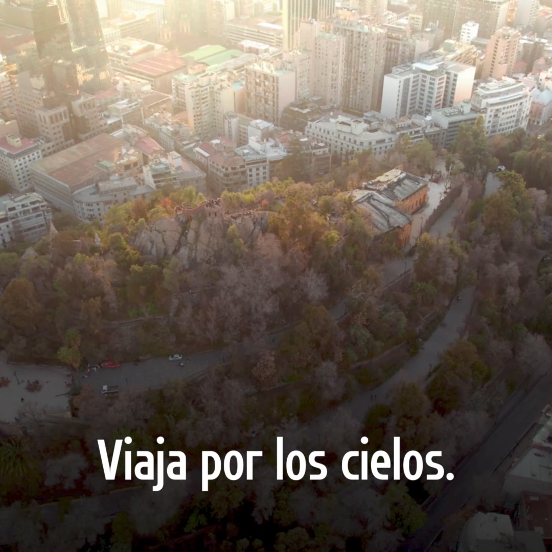 The Condor Vision | Tijuana