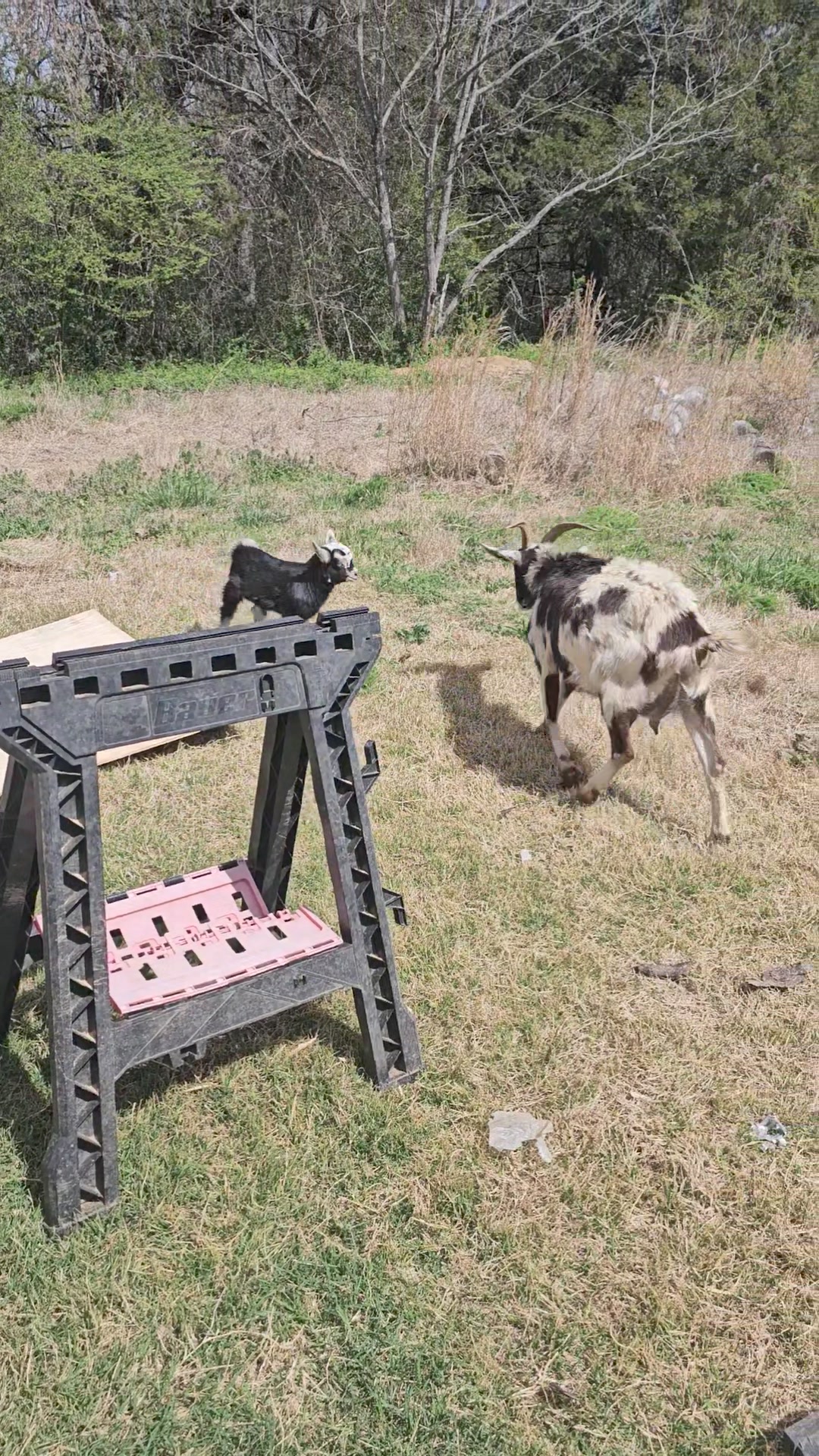 The Ralston Farm | Booneville AR