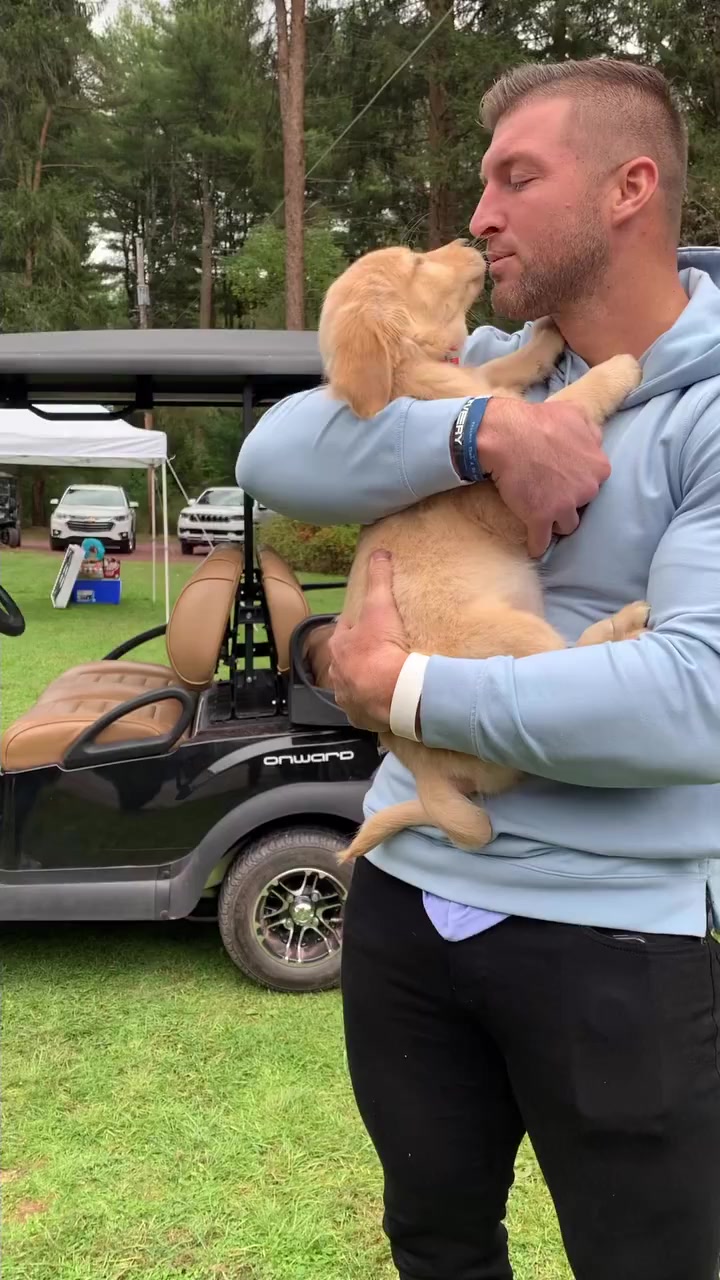 How adorable are the Rising Light Ridge puppies🥺?! We are excited to ...