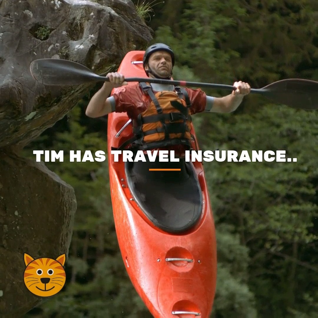 Big Cat Travel Insurance | London