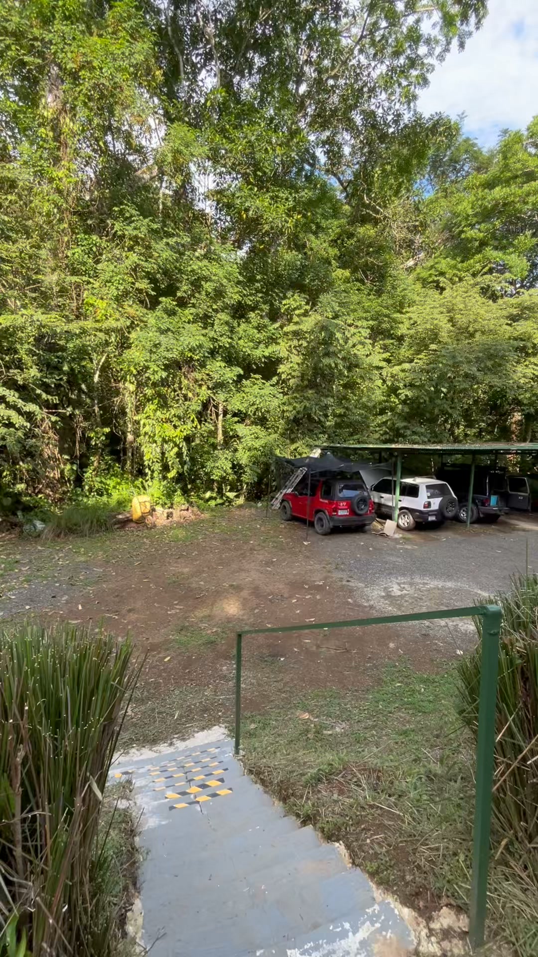 🌴 Fully Furnished Jungle Apartment in Hermosa Beach (Near Jaco