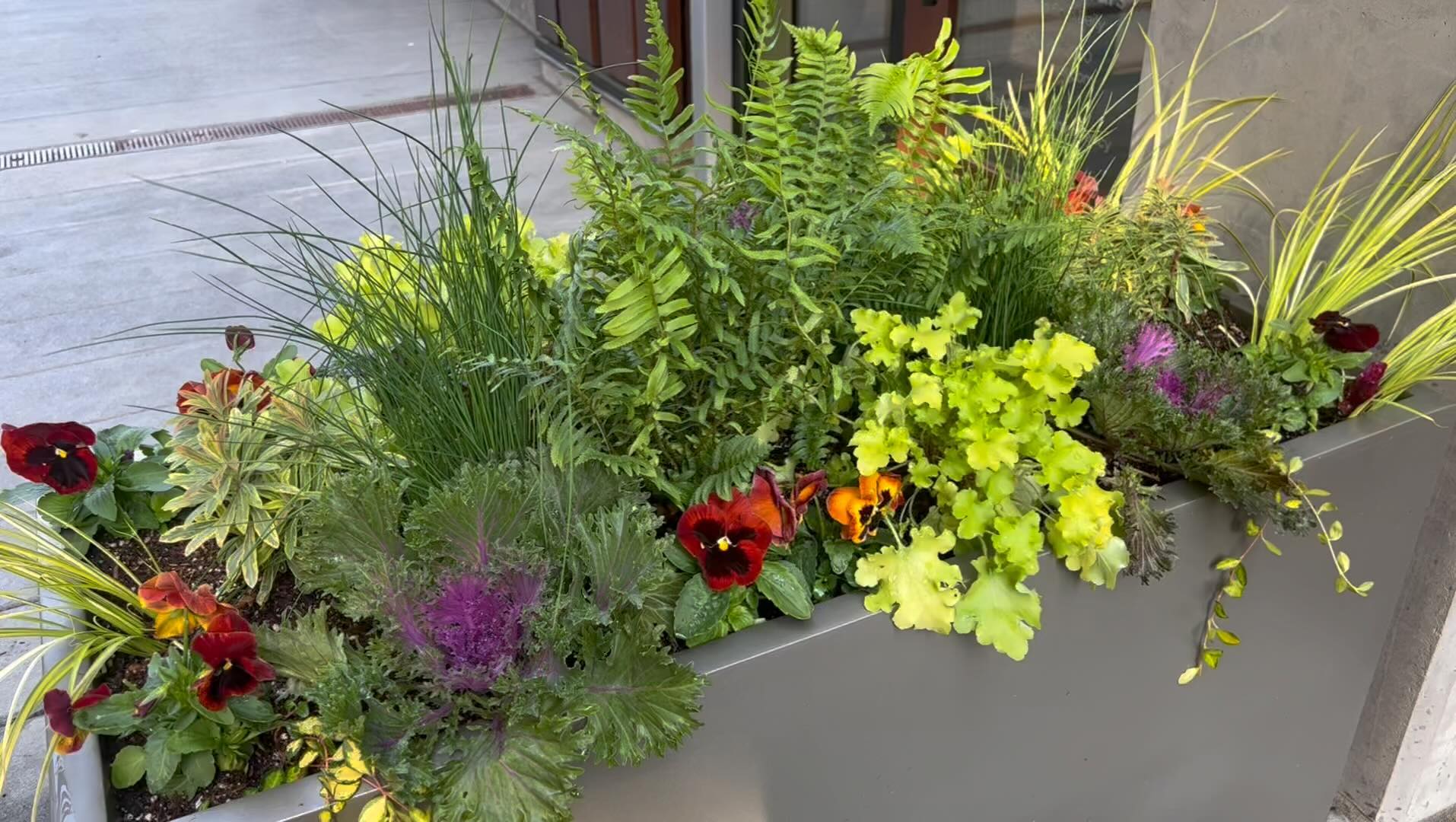 Alula Boutique Containers